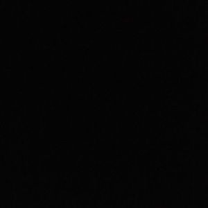 Meet your Posher, Alanis