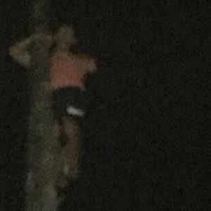 Meet your Posher, Scott