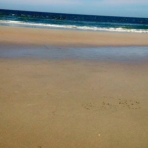 Meet your Posher, Kara