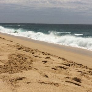 Meet your Posher, Michaela