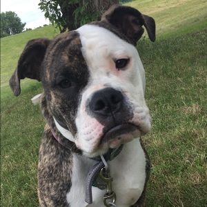 Meet your Posher, Becka