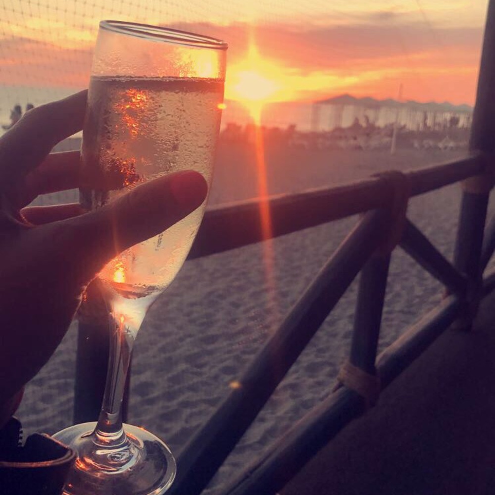 Meet your Posher, Maggie