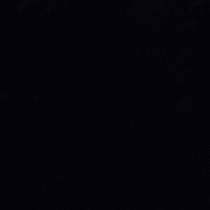 Meet your Posher, Molly