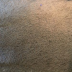 Patch of carpet