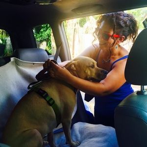 Meet your Posher, Alexis