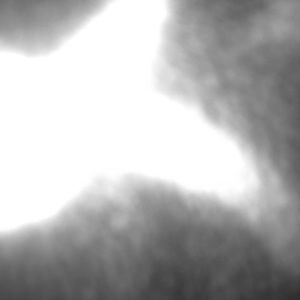 Meet your Posher, Rosa