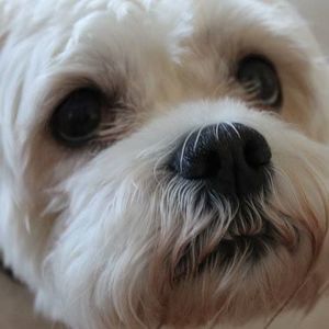 Meet your Posher, Patricia