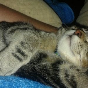 Meet your Posher, Savanna