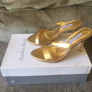 BNIB Charles David Shoes - Size 6