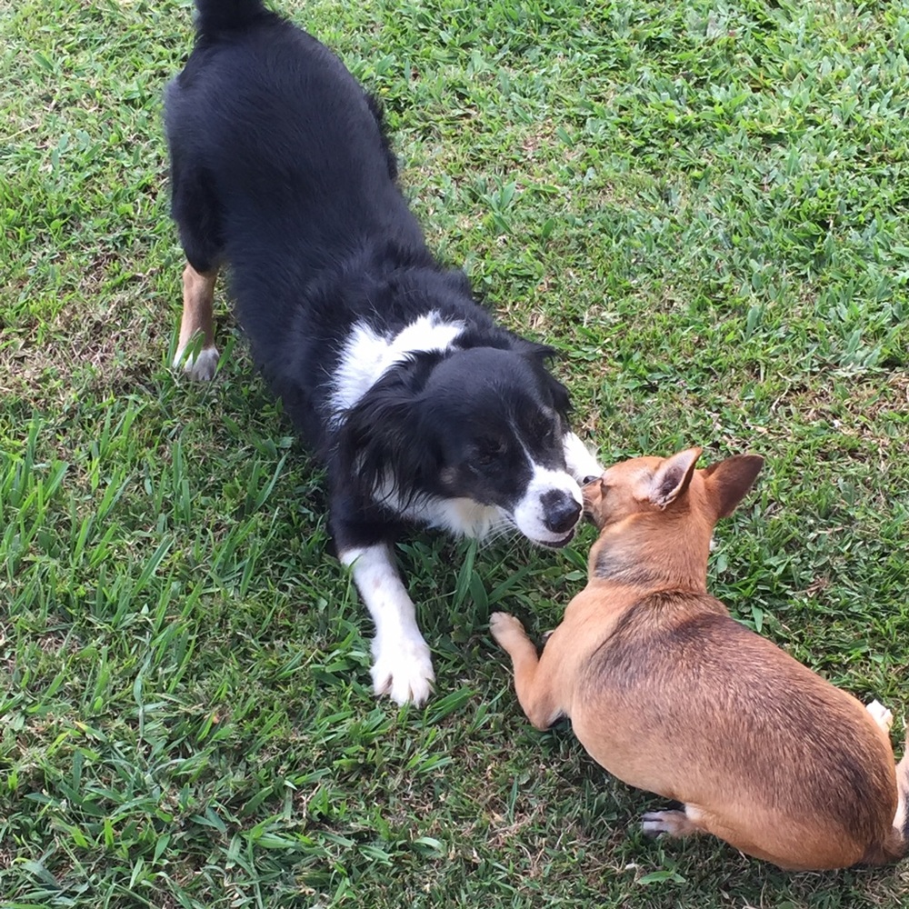 Meet your Posher, Nelmarie