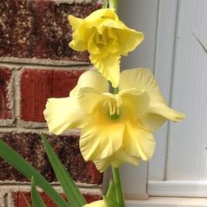 Meet your Posher, Carla