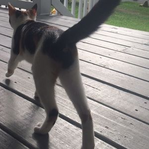 Meet your Posher, Sydney