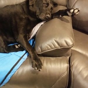 Meet your Posher, Lynn