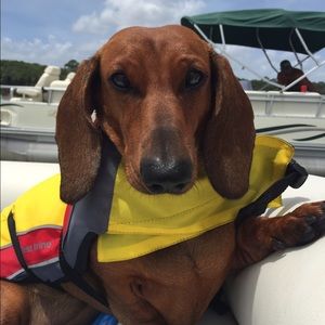 Meet your Posher, Christi