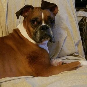 Meet your Posher, Taryn