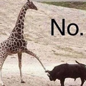 Meet your Posher, Kailey