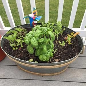 Meet your Posher, Melissa