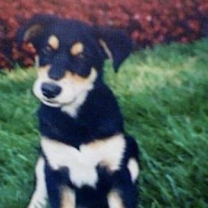 Meet your Posher, Jane