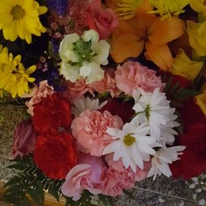 Meet your Posher, Carol