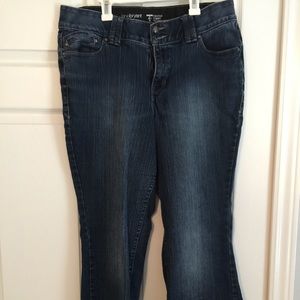Lane Bryant Bootcut jeans