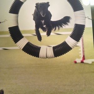 Meet your Posher, Linda