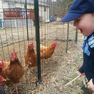 Meet your Posher, Christy