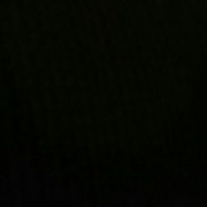 Meet your Posher, Nisa