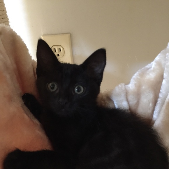 Meet your Posher, Doris - Picture 1 of 1