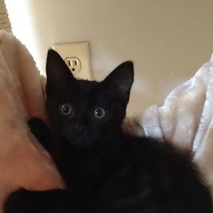 Meet your Posher, Doris