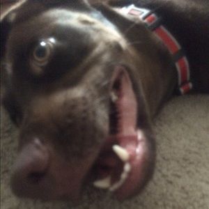 Meet your Posher, Caitlin