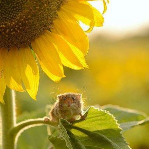 Meet your Posher, Adriana - Picture 1 of 1