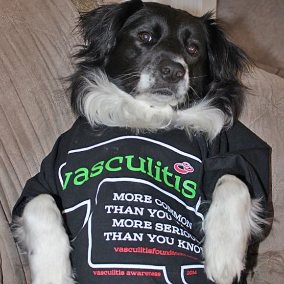 Meet your Posher, Mary - Picture 1 of 1