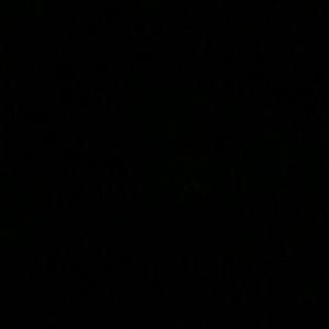 Meet your Posher, Sherry