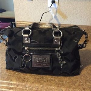 Poppy coach