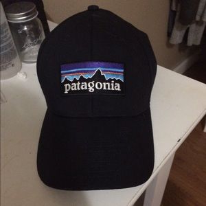 Patagonia stretch fit hat