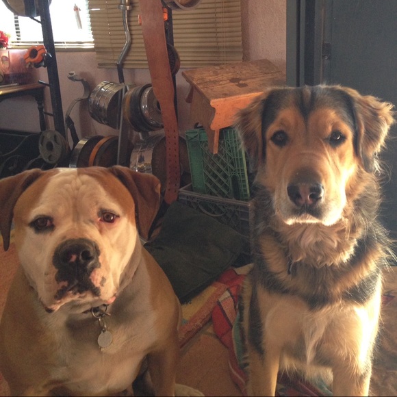 Meet your Posher, Kristina - Picture 1 of 1