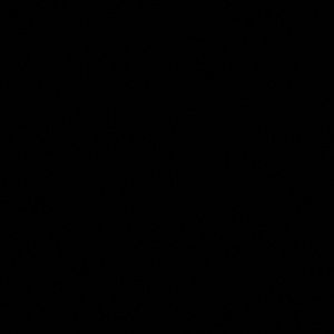 Meet your Posher, Nora