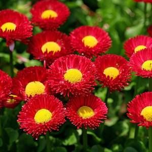 Meet your Posher, Sherry