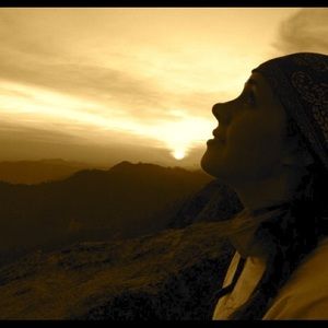 Meet your Posher, Cooker