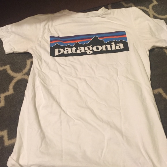 Patagonia tee