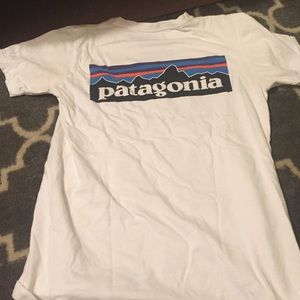 Patagonia tee