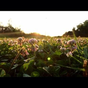 Meet your Posher, Sierra