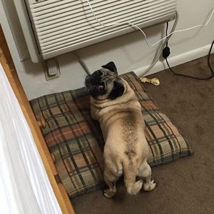 Meet your Posher, Catherine