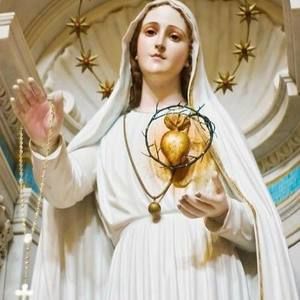 Meet your Posher, Dora