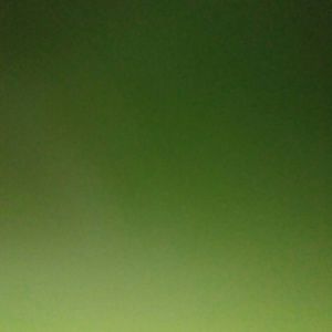 Meet your Posher, Layne