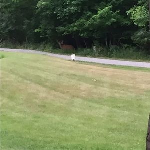 Meet your Posher, Lisette