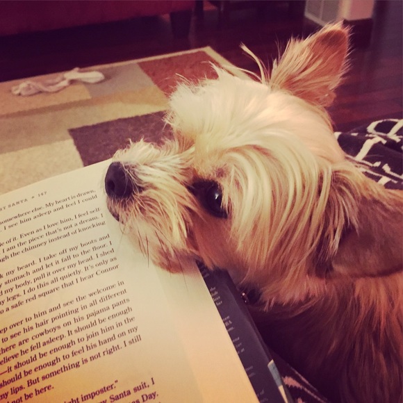 Meet your Posher, Meredith