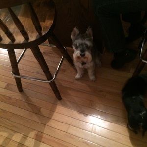 Meet your Posher, Cindy