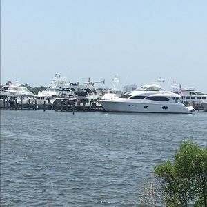 Meet your Posher, Terry