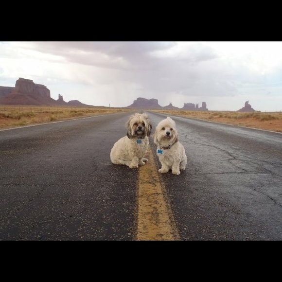 Meet your Posher, Alicia - Picture 1 of 1